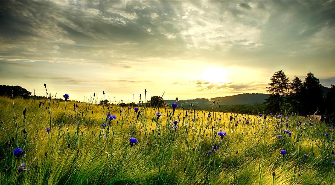 Wohlfuehlherberge Weitblick Erlbach  Dış mekan fotoğraf